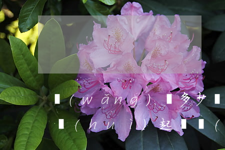 網(wǎng)貸多少時(shí)間不還會(huì)起訴(網(wǎng)貸超過(guò)幾年不能起訴)