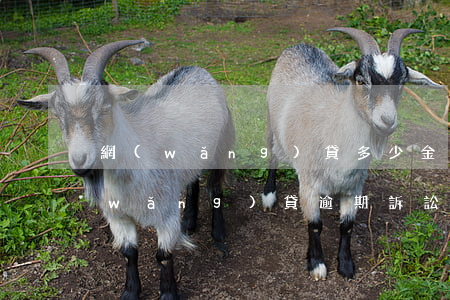 網(wǎng)貸多少金額逾期夠起訴(網(wǎng)貸逾期訴訟費(fèi)要多少)
