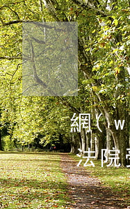 網(wǎng)貸多少錢(qián)逾期法院受理(網(wǎng)貸逾期金額多少法院立案)