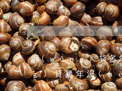網(wǎng)貸多年還不起(欠網(wǎng)貸幾年沒(méi)還都沒(méi)事)