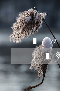 網(wǎng)貸多扣錢起訴(網(wǎng)貸多扣錢起訴會怎么樣)