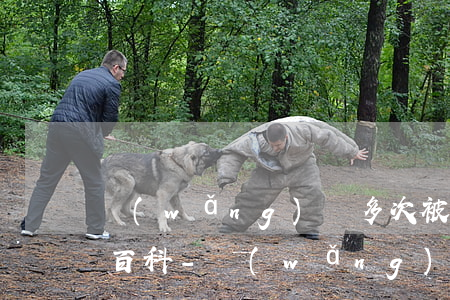 網(wǎng)貸多次被拒在哪可以借到錢百科-網(wǎng)貸多次被拒在哪里借