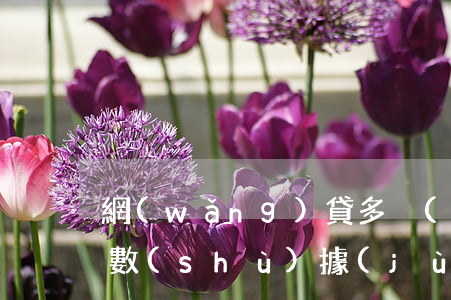 網(wǎng)貸多沒(méi)有逾期大數(shù)據(jù)(網(wǎng)貸記錄很多但從未逾期怎么處理)