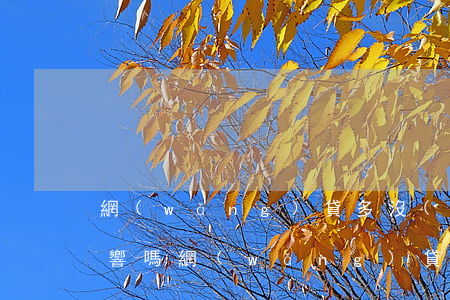 網(wǎng)貸多沒(méi)逾期有影響嗎(網(wǎng)貸逾期后果嚴(yán)重嗎)