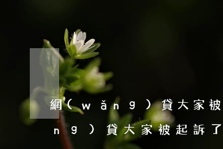 網(wǎng)貸大家被起訴了嗎(網(wǎng)貸大家被起訴了嗎怎么處理)