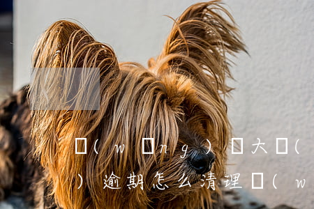 網(wǎng)貸大數(shù)據(jù)逾期怎么清理(網(wǎng)貸大數(shù)據(jù)多久清一次,有一次逾期)