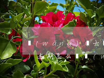 網(wǎng)貸大數(shù)據(jù)逾期怎么辦(網(wǎng)貸大數(shù)據(jù)多久清一次,有一次逾期)