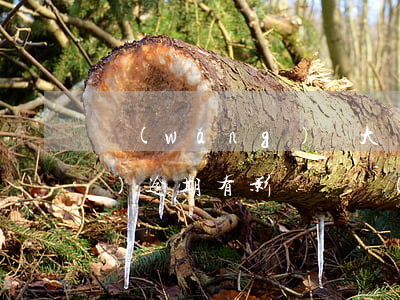 網(wǎng)貸大數(shù)據(jù)逾期有影響嗎(網(wǎng)貸大數(shù)據(jù)可以處理嗎)