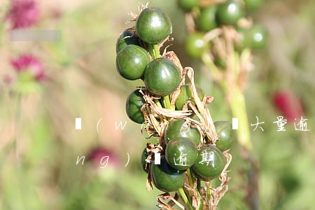 網(wǎng)貸大量逾期（15家網(wǎng)貸逾期）