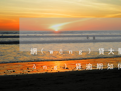 網(wǎng)貸大量逾期該怎么辦(網(wǎng)貸逾期如何處理比較好)
