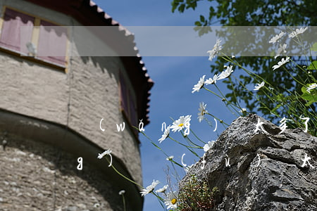 網(wǎng)貸太多了怎么辦(網(wǎng)貸負(fù)債太多怎么辦)