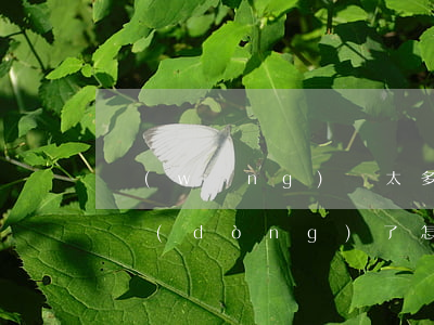 網(wǎng)貸太多實(shí)在還不動(dòng)了怎么辦（大量網(wǎng)貸還不起怎么辦）