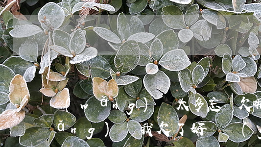 網(wǎng)貸太多忘記欠哪家錢(網(wǎng)貸我欠了好幾個(gè)忘記名字了怎么辦)