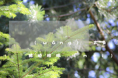 網(wǎng)貸太多沒(méi)有逾期被拒(明明沒(méi)有逾期,為什么網(wǎng)貸全部拒絕?)