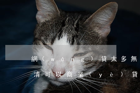 網(wǎng)貸太多無(wú)逾期已還清可以商業(yè)貸-網(wǎng)貸太多無(wú)逾期已還清可以商業(yè)貸款嗎