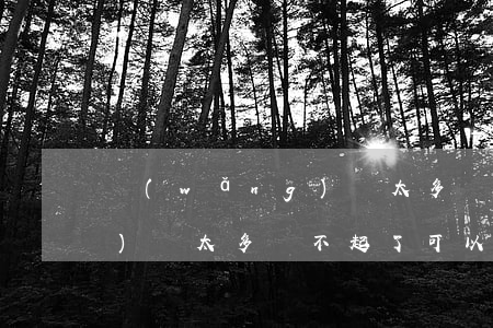 網(wǎng)貸太多還不起(網(wǎng)貸太多還不起了可以強制上岸嗎)