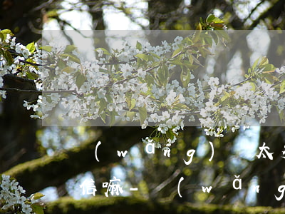 網(wǎng)貸太多都及時還款啦影響征信嘛-網(wǎng)貸太多都及時還款啦影響征信嘛怎么辦