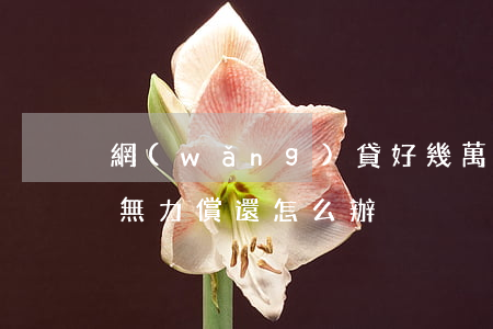 網(wǎng)貸好幾萬已經(jīng)無力償還怎么辦