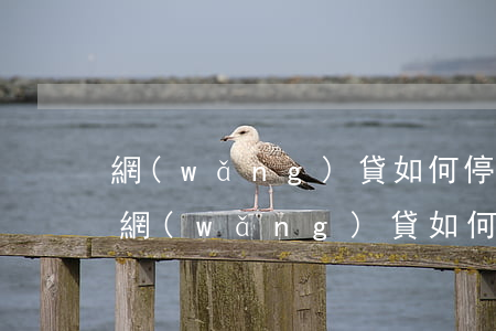 網(wǎng)貸如何停息掛賬分期還款-網(wǎng)貸如何停息掛賬分期還款呢