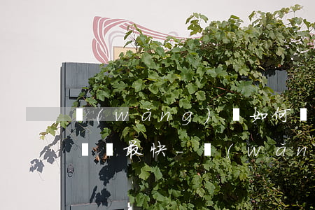 網(wǎng)貸如何協(xié)商停息掛賬最快-網(wǎng)貸可以申請(qǐng)停息掛賬嗎