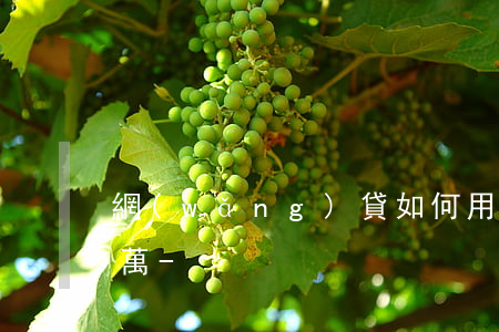 網(wǎng)貸如何用1000元還款1萬-