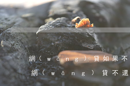 網(wǎng)貸如果不還有什么影響(借了網(wǎng)貸不還會有什么后果)