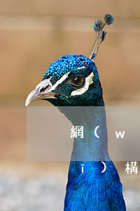 網(wǎng)貸委托專業(yè)機(jī)構(gòu)協(xié)商還款靠譜嗎-網(wǎng)貸找委托員協(xié)商延期還款有用嗎