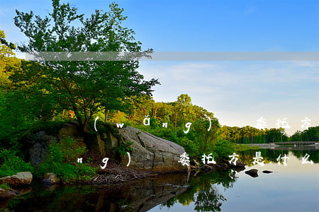 網(wǎng)貸委托方能起訴嗎(網(wǎng)貸委托方是什么意思)