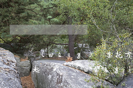 網(wǎng)貸委托方說(shuō)要起訴我(網(wǎng)貸委托律師事務(wù)所立案起訴我)
