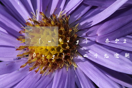 網(wǎng)貸存少2塊造成逾期(網(wǎng)貸二千元逾期后果)