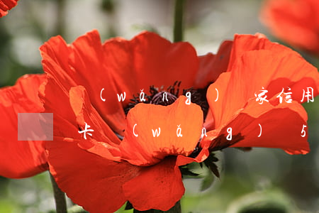 網(wǎng)貸家信用卡欠50萬(欠信用卡網(wǎng)貸50萬自首)