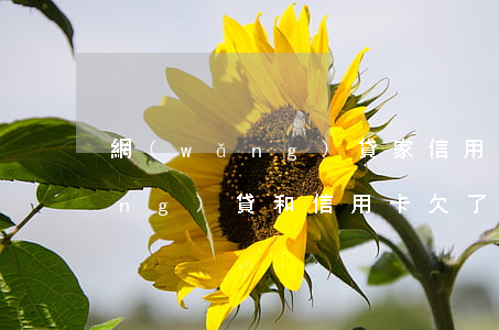 網(wǎng)貸家信用卡欠8萬(網(wǎng)貸和信用卡欠了十幾萬,應(yīng)該怎么辦?)