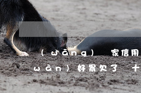 網(wǎng)貸家信用卡欠了30多萬(wàn)好累(欠了幾十萬(wàn)信用卡和網(wǎng)貸,如何跑路)