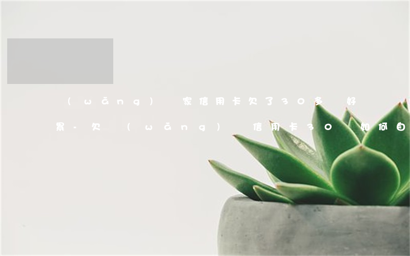 網(wǎng)貸家信用卡欠了30多萬好累-欠網(wǎng)貸信用卡30萬如何自救
