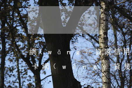 網(wǎng)貸家信用卡欠了8萬(欠信用卡網(wǎng)貸幾十萬)