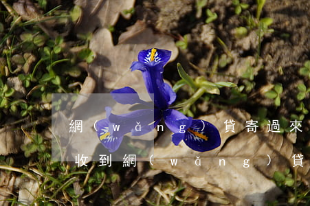 網(wǎng)貸寄過來的律師函要簽收嗎(收到網(wǎng)貸郵寄的律師函需要怎么處理)
