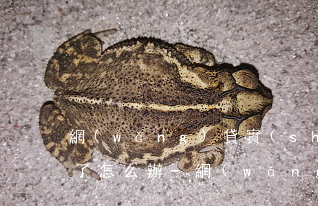 網(wǎng)貸實(shí)在無力償還了怎么辦-網(wǎng)貸實(shí)在無力償還了怎么辦益陽在線咨詢