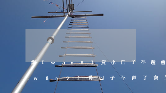 網(wǎng)貸小口子不還會怎么樣(網(wǎng)貸口子不還了會怎么樣)