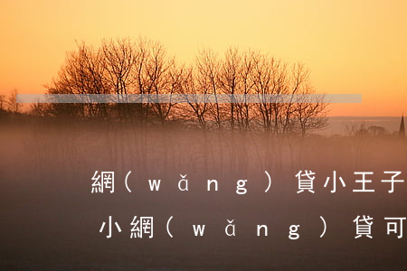 網(wǎng)貸小王子不還會怎么樣(一些小網(wǎng)貸可不可以不還)