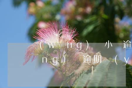 網(wǎng)貸小貸逾期怎么解決(網(wǎng)貸逾期應(yīng)該怎么辦)