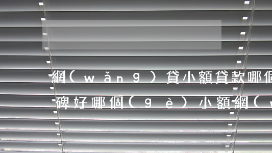 網(wǎng)貸小額貸款哪個(gè)口碑好(哪個(gè)小額網(wǎng)貸好通過(guò))