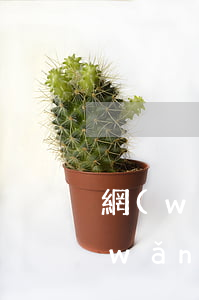 網(wǎng)貸小額貸款哪個更便宜(網(wǎng)貸哪個最便宜)