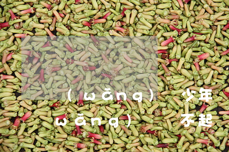 網(wǎng)貸少年還不起(2021網(wǎng)貸還不起)