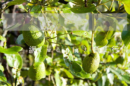 網(wǎng)貸工行信用卡沒逾期被鎖定