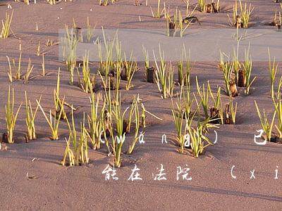 網(wǎng)貸已經(jīng)被起訴還能在法院協(xié)商嗎-網(wǎng)貸已經(jīng)被起訴還能在法院協(xié)商嗎