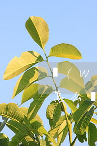 網(wǎng)貸已經(jīng)逾期了怎么協(xié)商延期還款-網(wǎng)貸已經(jīng)逾期了怎么協(xié)商延期還款呢