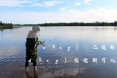 網(wǎng)貸已逾期還能貸款嗎(有當(dāng)前逾期可以過的網(wǎng)貸)