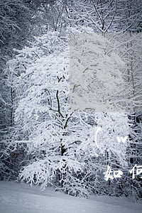 網(wǎng)貸已還逾期繼續(xù)催債(如何面對網(wǎng)貸逾期催收)