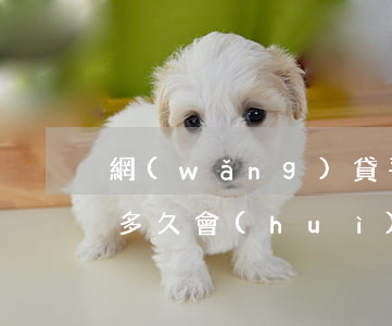 網(wǎng)貸平臺(tái)借款逾期多久會(huì)被起訴(網(wǎng)貸逾期多久會(huì)被起訴到法院正規(guī))