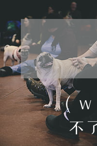 網(wǎng)貸平臺(tái)到還款登錄不了怎么辦-網(wǎng)貸平臺(tái)到還款登錄不了怎么辦呢